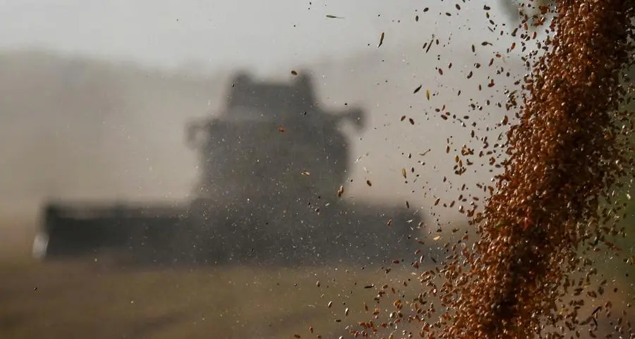 Jordan buys about 60,000 T wheat in tender, traders say