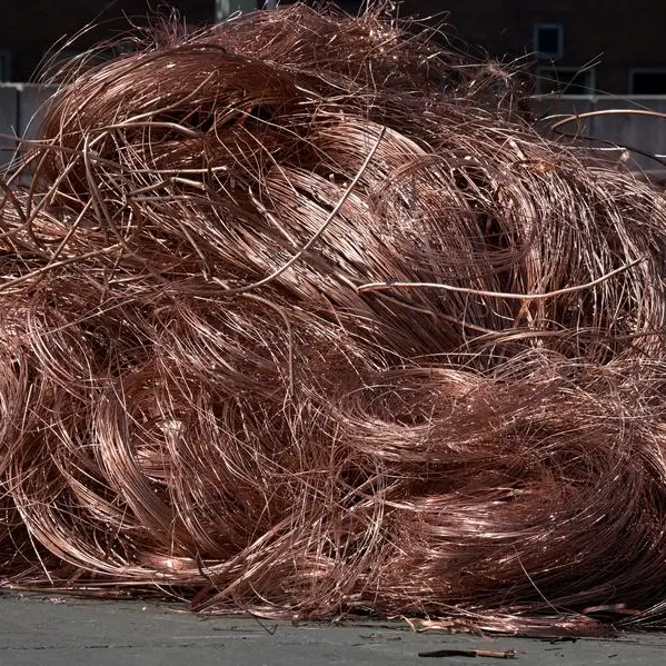 Copper rises on dip buying in thin trade