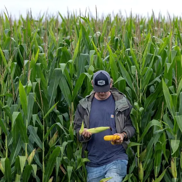 Asia's pledge to boost US farm imports may redraw trade flows