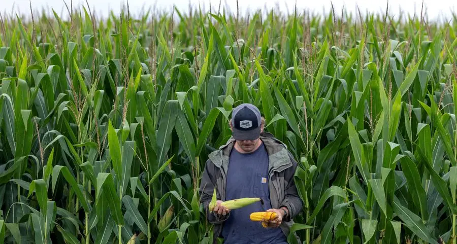 Asia's pledge to boost US farm imports may redraw trade flows
