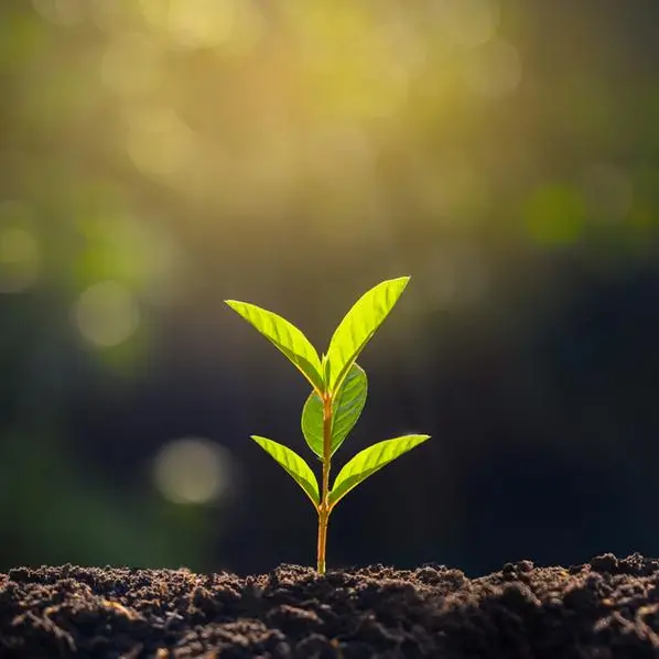 Morocco's OCP to produce 3mln tons of green fertilisers by 2027