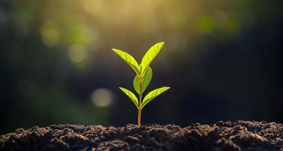 Morocco's OCP to produce 3mln tons of green fertilisers by 2027