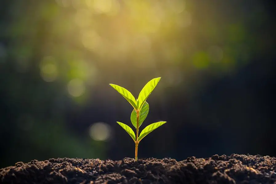 Morocco's OCP to produce 3mln tons of green fertilisers by 2027