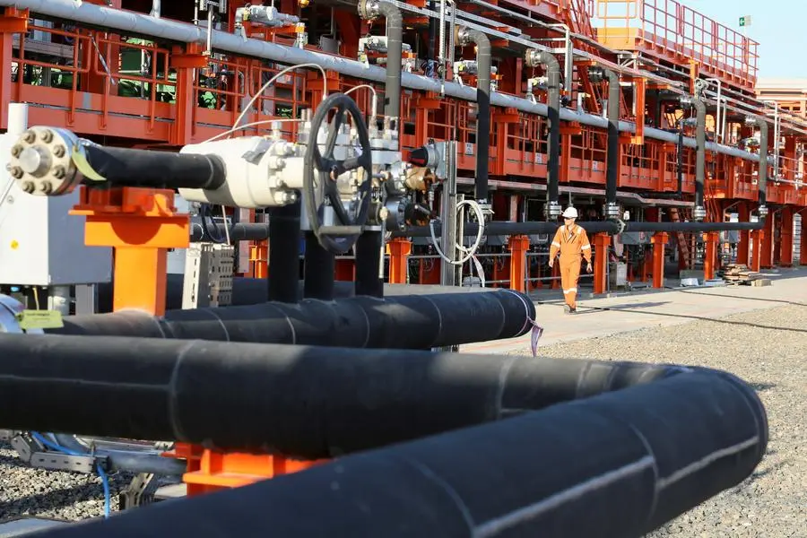 OPEC expects slower 2025 oil supply growth from rivals after price drop