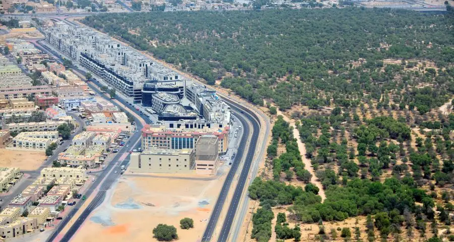UAE curbs desertification with innovation, foresight
