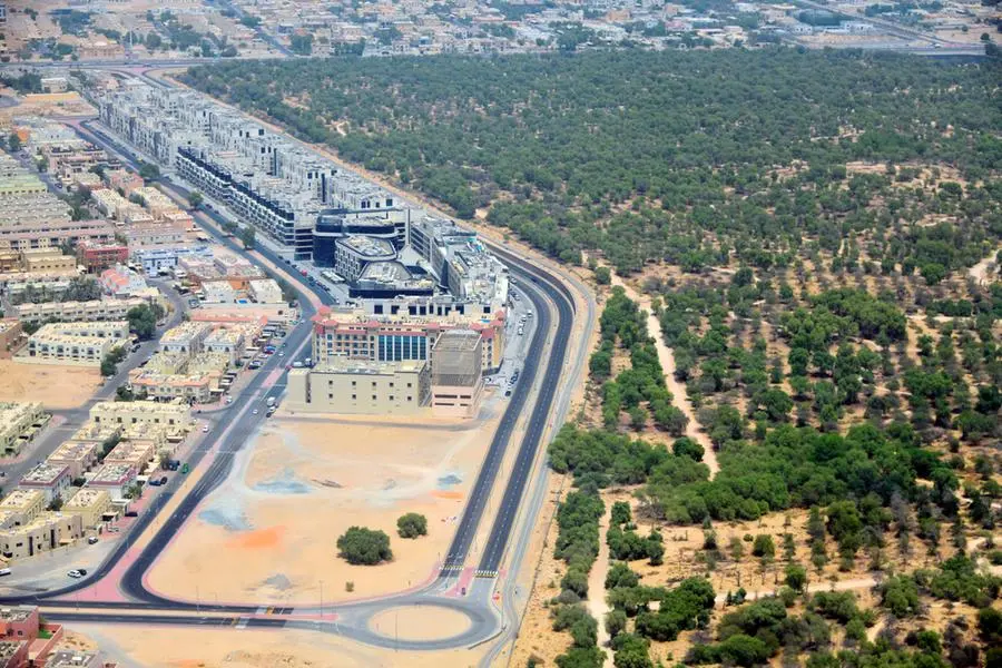 UAE curbs desertification with innovation, foresight