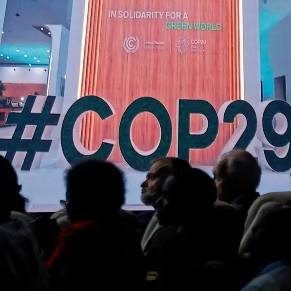 COP29 delegation: Nigeria tops Africa, 8th largest globally