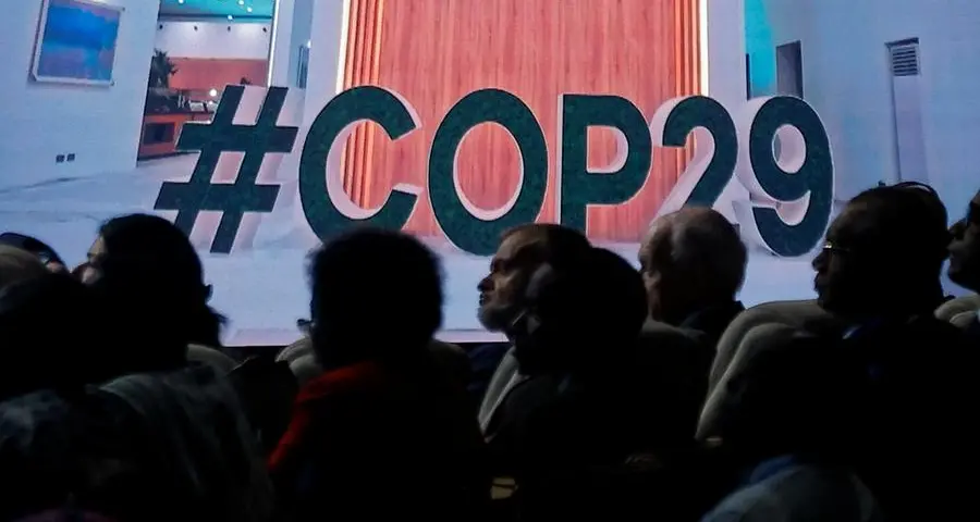 COP29 delegation: Nigeria tops Africa, 8th largest globally