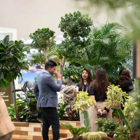 1 Myplant & Garden Middle East: a great first edition!