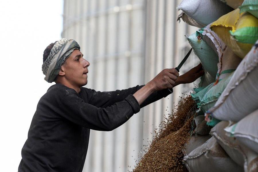 Egypt seeks to expand wheat imports, storage ties with Poland