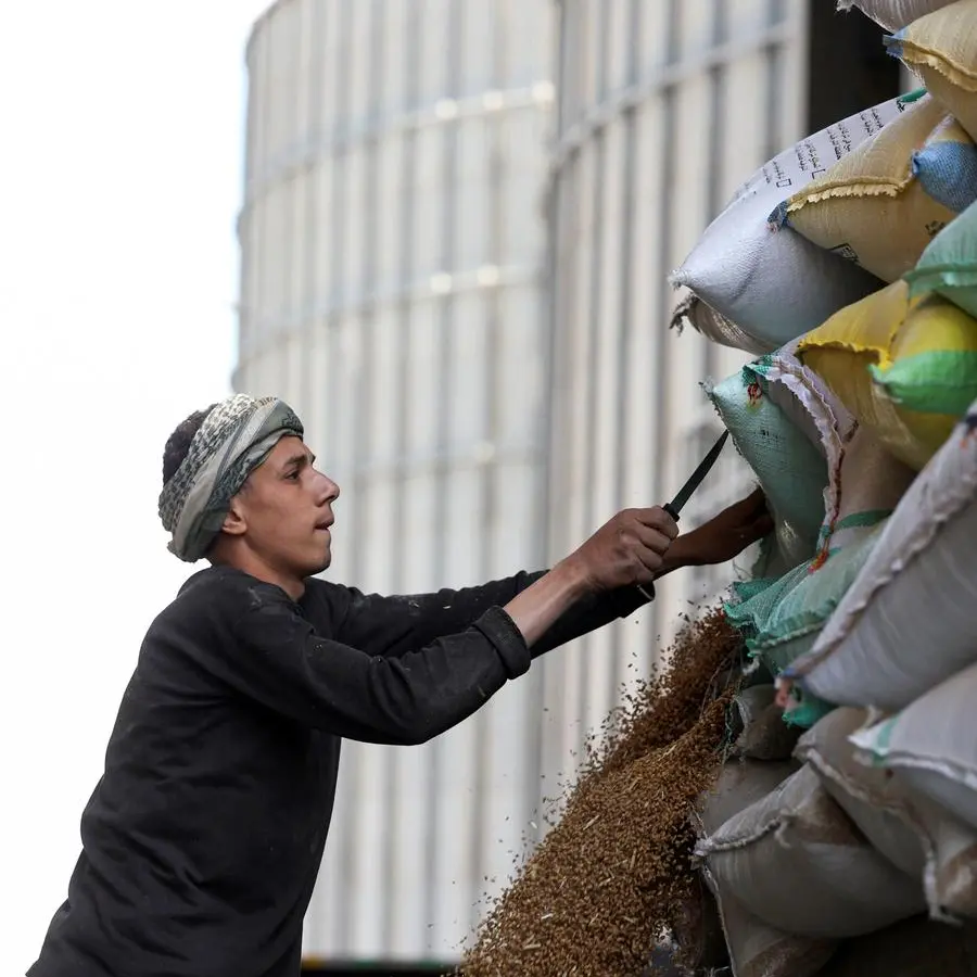 Egypt seeks to expand wheat imports, storage ties with Poland