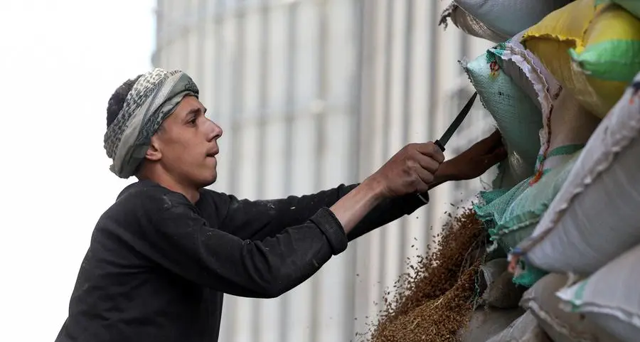 Egypt seeks to expand wheat imports, storage ties with Poland