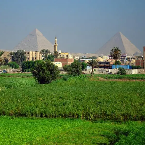 BASF Agricultural Solutions has Babouih as country manager for Egypt, Middle East