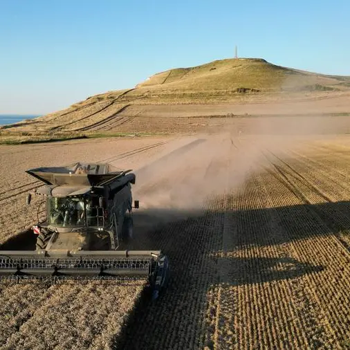 French wheat exports slump on poor crop, Algeria spat and Russian rivalry