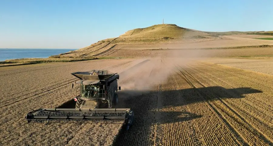 French wheat exports slump on poor crop, Algeria spat and Russian rivalry