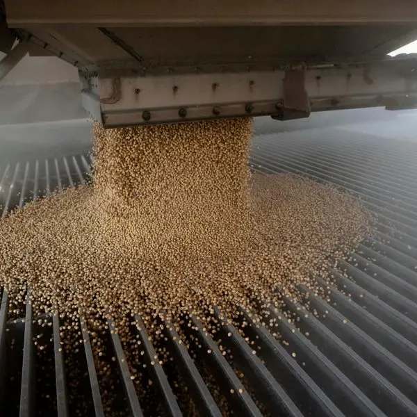 Soybeans firm; USDA's lower export estimate curbs price upside