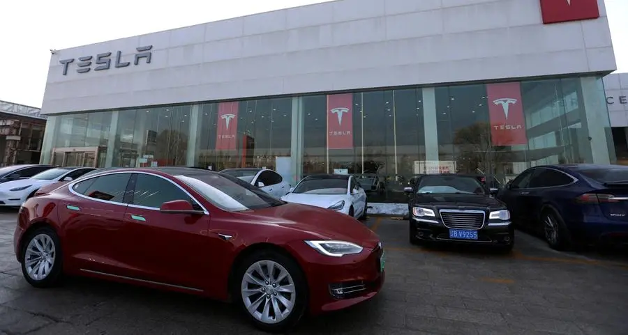 Tesla's China-made EV sales fall 29% in first two months of 2025