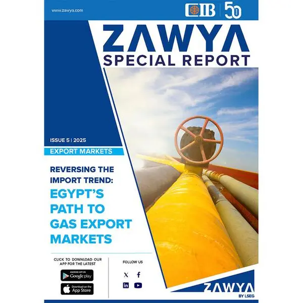 Reversing the import trend: Egypt's path to gas export markets