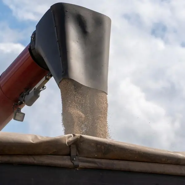 Jordan issues tender to buy up to 120,000 metric tons wheat, traders say