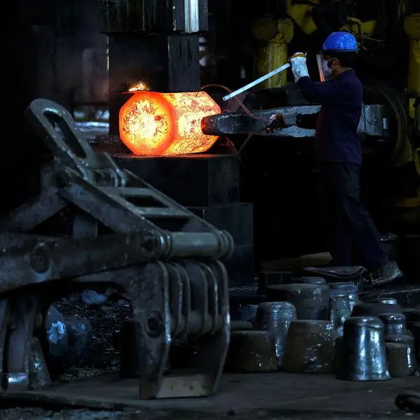 Strong manufacturing growth lifts India's private sector in February, PMI shows