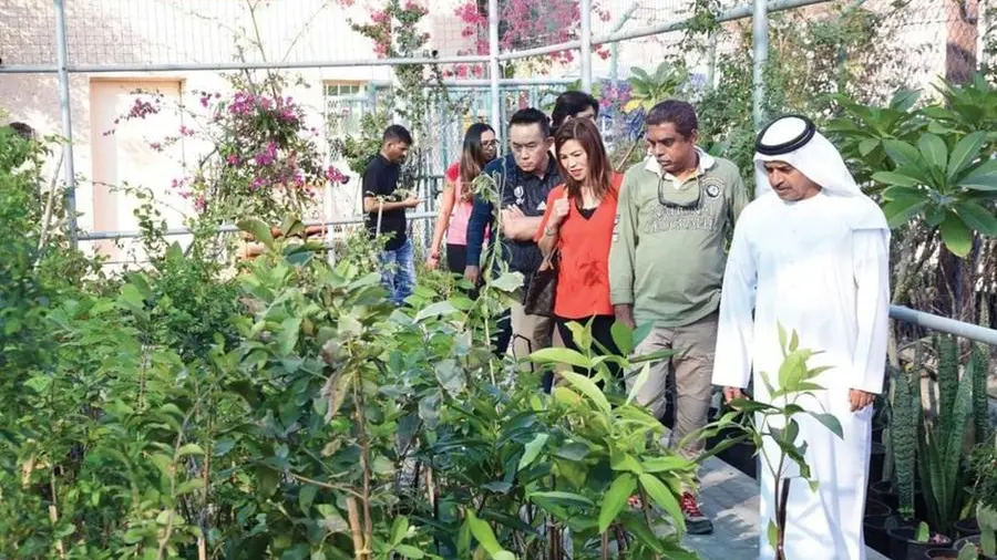 UAE: Citizen-owned farms emerge as leading investment projects, sustainable tourism destinations