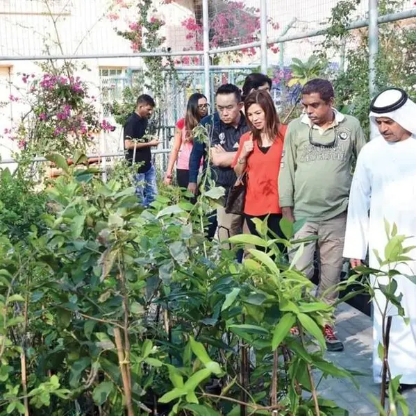 Emirati hospitality key pillar for sustainable tourism growth: DCT Abu Dhabi