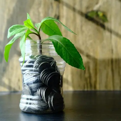 Africa Finance Corporation wins $255mln green loan backed by UAE banks