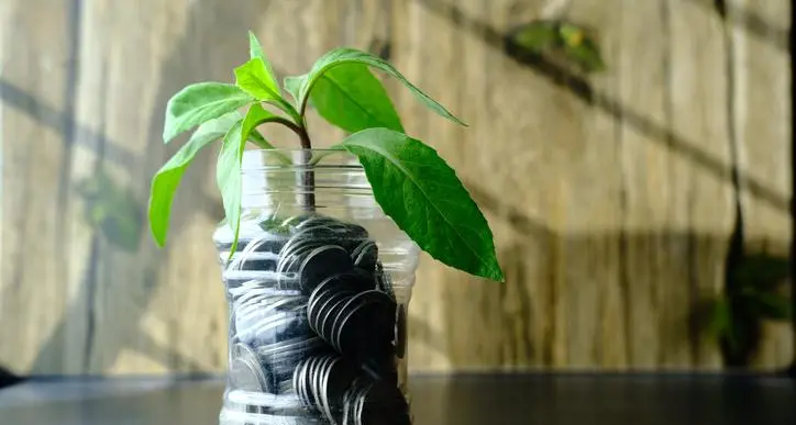 Africa Finance Corporation wins $255mln green loan backed by UAE banks