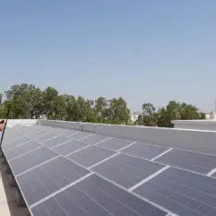 توسّع في استخدام الطاقة الشمسية بدولة الإمارات العربية المتحدة يُعادل زراعة آلاف الأشجار خلال 30 عاماً