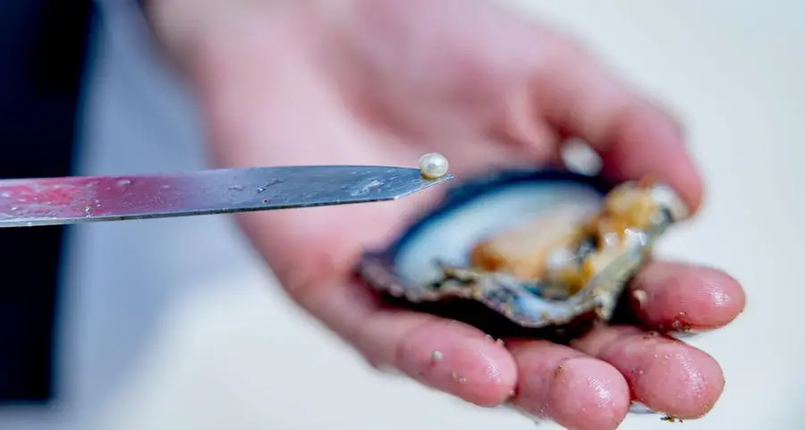 EAD launches first project in Gulf to survey, evaluate, restore traditional oyster habitats
