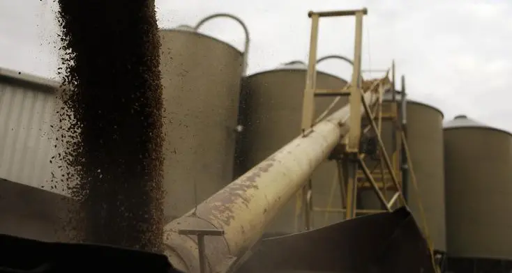 Jordan tenders to buy up to 120,000 metric tons feed barley, traders say