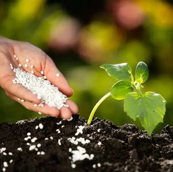 GAIA BioMaterials secures European patent for PLA-free film extrusion materials