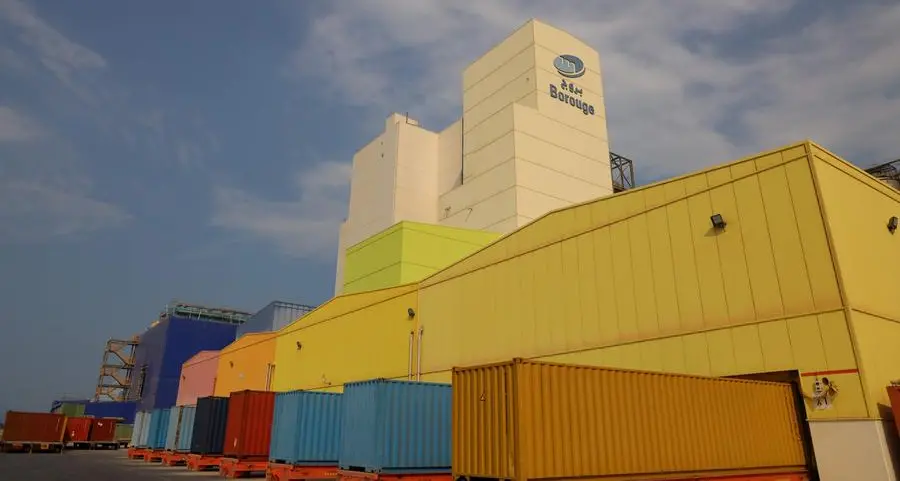 Borouge 4 mega project to support UAE energy sector with first batch of materials