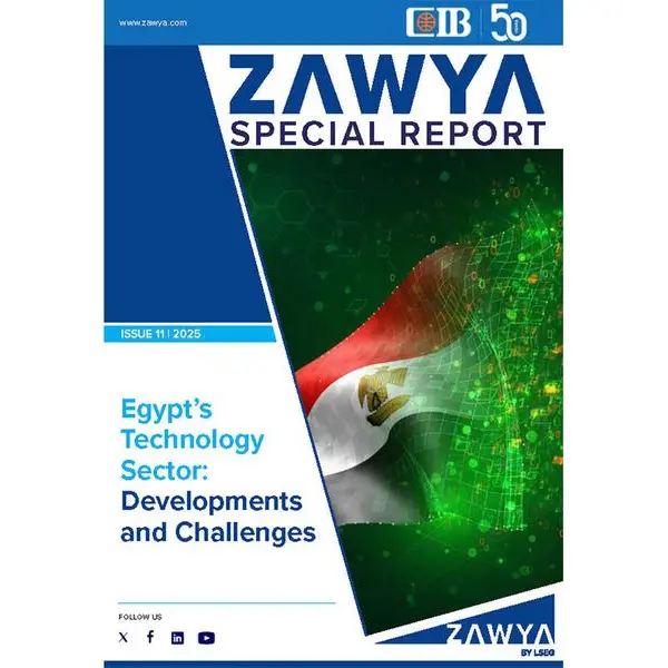 Egypt's technology sector: Developments and challenges