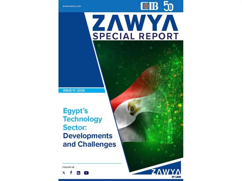 Egypt's technology sector: Developments and challenges