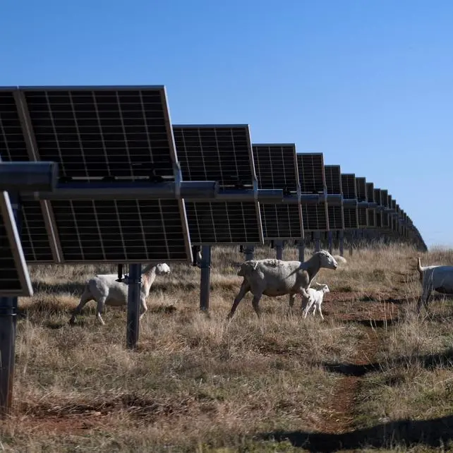 Trump calls wind, solar bad for power grid. Texas shows otherwise