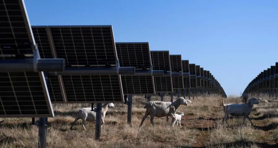 Trump calls wind, solar bad for power grid. Texas shows otherwise