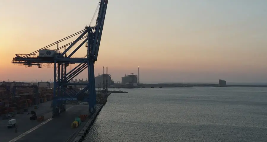 Egypt’s Damietta Port receives its largest bulk cargo of 144,780 tonnes on YANG FAN vessel