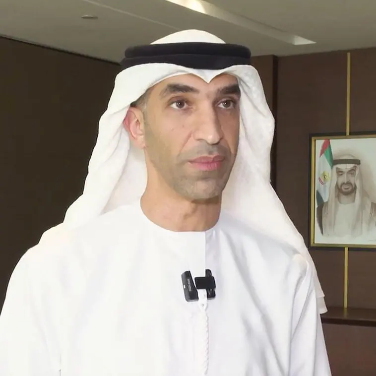 UAE accounts for 30% of Ecuador’s trade with Arab, African countries: Al Zeyoudi