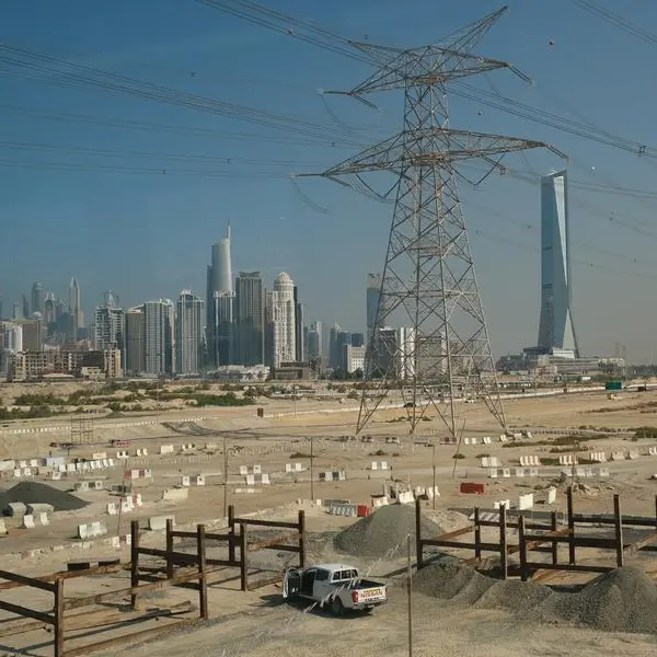 UAE telecom services trade up 4.3% to $2.77bln in 2024