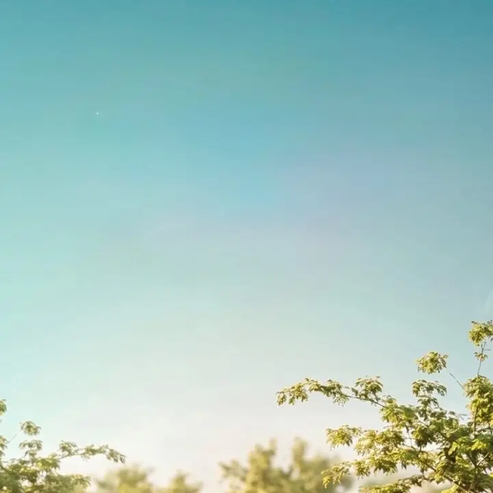 ضمن فعاليات الاحتفال بـ\"يوم النقل العام العالمي\" مركز النقل المتكامل يعلن عن إنجاز مليون كيلومتر أخضر في أبوظبي