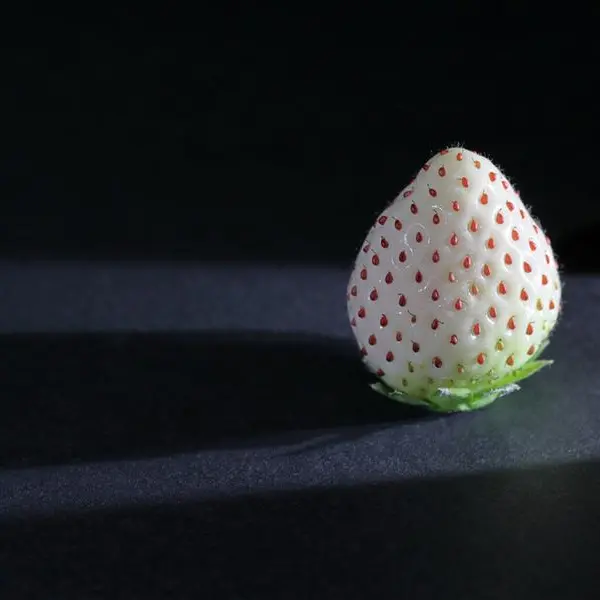 Hail becomes world’s third producer of rare white strawberries