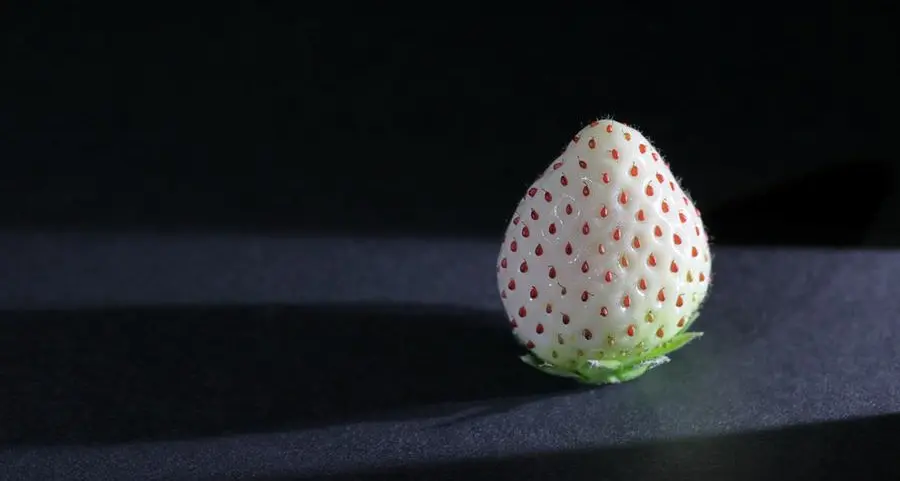 Hail becomes world’s third producer of rare white strawberries