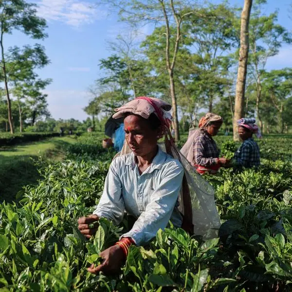 Agriculture needs more space in climate summits