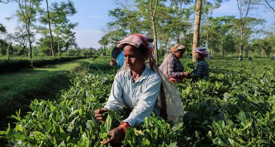 Agriculture needs more space in climate summits