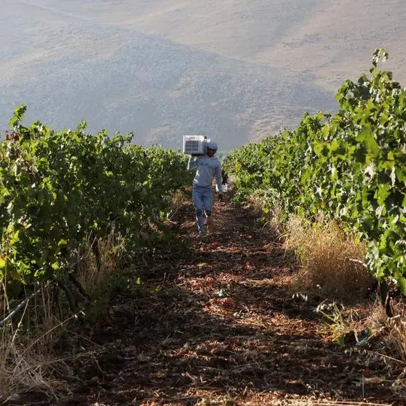 Agriculture for security