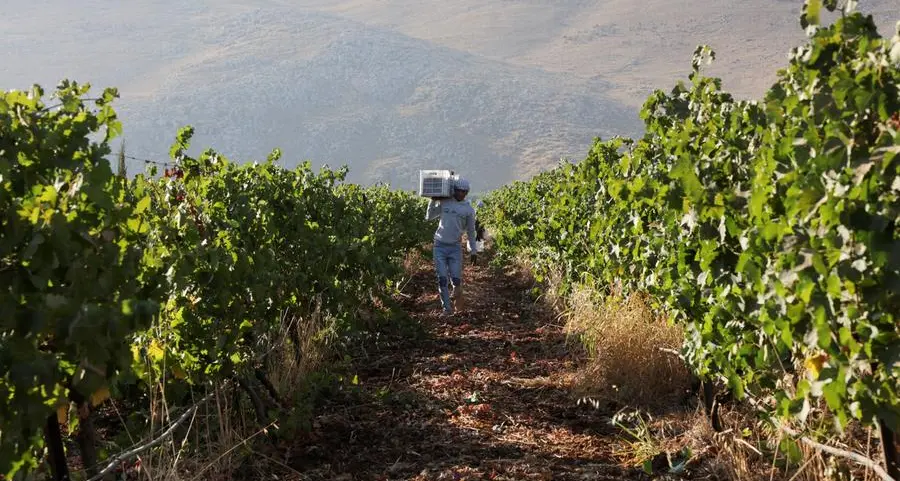 Agriculture for security