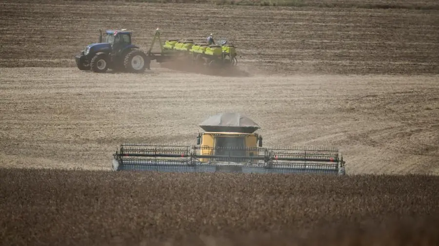 Chicago grains ease on rain forecasts and Mideast tensions