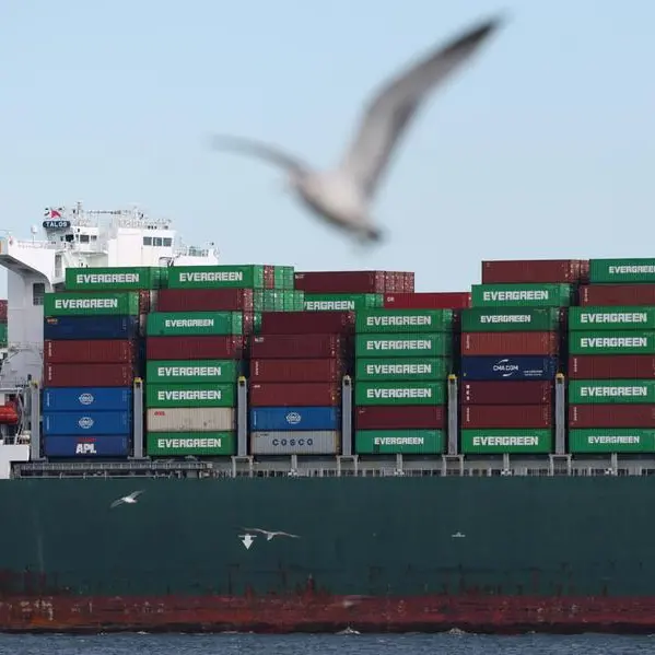 Tariffs linger over earnings, even as companies get used to them