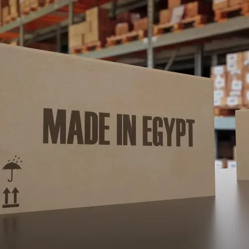 Made in Egypt: The country's path to becoming a services hub